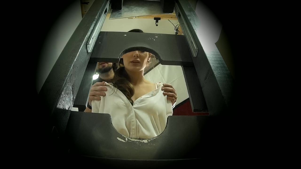 Her Majesty the guillotine